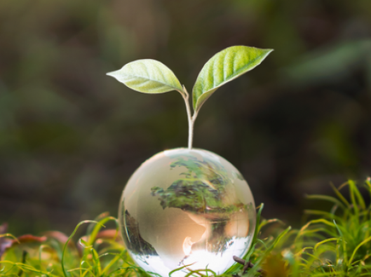 glass-globe-ball-with-tree-growing-green-nature-blur-background